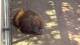 San Diego, California 08.05.2025 11:53
