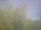 Ittigen 29.04.2025 11:46