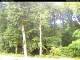 Hilversum 05.06.2025 11:54
