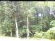 Hilversum 09.06.2025 11:53