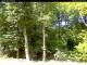 Hilversum 21.03.2025 11:54