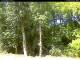 Hilversum 23.03.2025 11:54