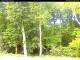 Hilversum 09.05.2025 11:54