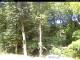Hilversum 14.06.2025 11:53