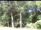 Hilversum 15.06.2025 11:53
