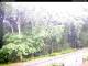 Hilversum 09.06.2025 11:53
