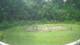 Tustin, Michigan 11.07.2025 11:53