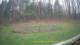 Tustin, Michigan 29.04.2025 11:54