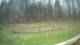 Tustin, Michigan 29.04.2025 11:54