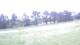 Pittsburg, Illinois 11.05.2025 11:59
