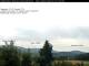 Birnbrunn 12.07.2025 11:53