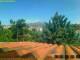 Pallini 30.04.2025 11:54