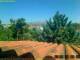Pallini 17.03.2025 11:54