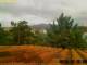 Pallini 29.04.2025 11:54