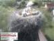 Aurach 08.05.2025 11:54
