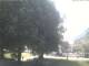 Bayrischzell 20.06.2025 11:46