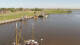Greetsiel 30.04.2025 11:54