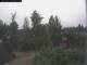 Stocka 06.07.2025 11:54