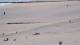 Cadzand-Bad 11.07.2025 11:54