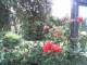Cuxhaven 01.07.2025 11:54