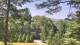 Swanton, Maryland 06.07.2025 11:03