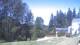 Redmond, Washington 08.06.2025 11:06