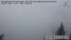 Kochel am See 14.07.2025 11:45