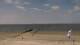 Norderney 14.06.2025 11:54