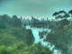 Linley Point 14.07.2025 11:05
