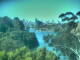Linley Point 06.07.2025 11:54