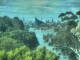 Linley Point 06.07.2025 11:54