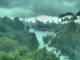 Linley Point 11.05.2025 11:55