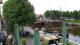 Carolinensiel-Harlesiel 11.05.2025 11:46