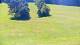 Gap 08.07.2025 11:56