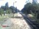 Wernigerode 05.07.2025 11:46
