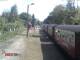 Wernigerode 09.05.2025 11:46