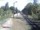Wernigerode 10.05.2025 11:46