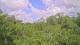 Metairie, Louisiana 11.07.2025 11:09