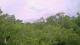 Metairie, Louisiana 08.06.2025 11:09