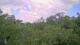 Metairie, Louisiana 02.07.2025 11:09