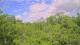 Metairie, Louisiana 11.05.2025 11:09