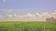 Saint Petersburg, Floride 14.06.2025 11:09