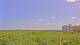 Saint Petersburg, Floride 29.04.2025 11:09