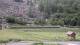 La Salle-les-Alpes 15.06.2025 11:57