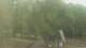 Fairview, Tennessee 30.04.2025 11:10