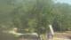 Fairview, Tennessee 12.07.2025 11:10