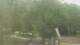 Fairview, Tennessee 29.04.2025 11:10