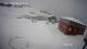 Nuuk 08.05.2025 11:58