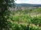 Feuerbach 11.07.2025 11:57