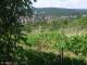 Feuerbach 12.07.2025 11:57